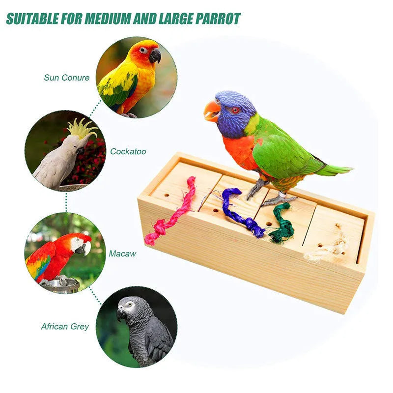 Wooden parrot toy puzzle training set with 3 pieces on a light background