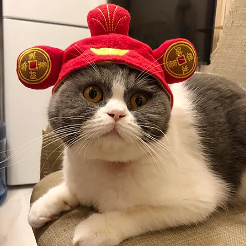 Sunflower cat hat cloth embroidery free size pet headgear on a cat
