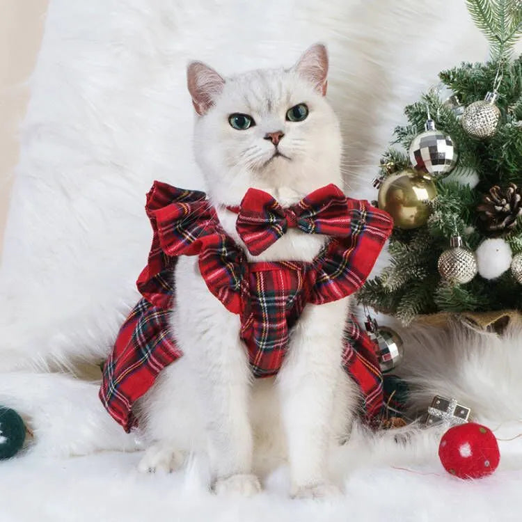 Red Christmas tartan skirt on a cat with matching bow tie and head flower, available in sizes XS to XL