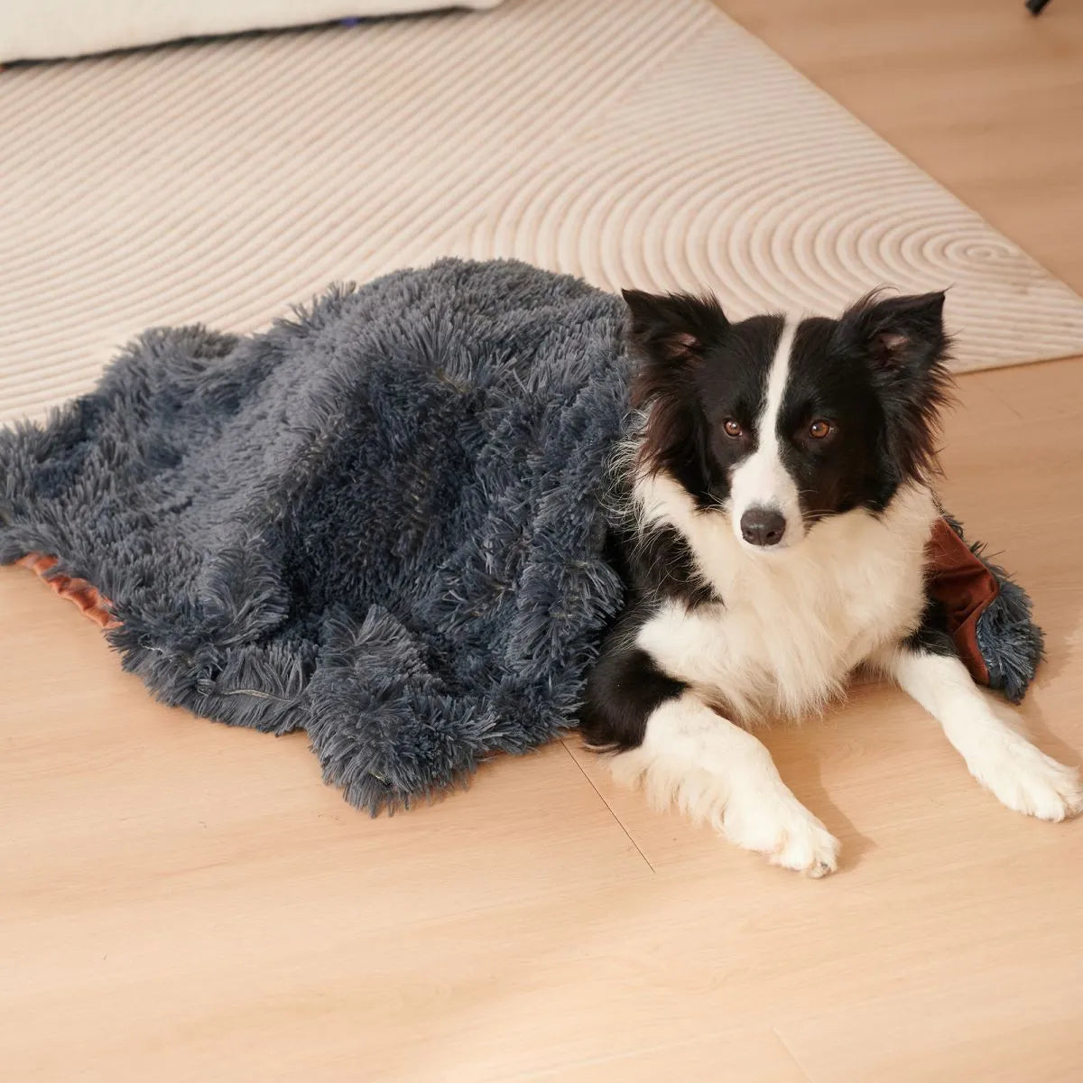 Light grey pet blanket made of velvet and long plush, with fluffy texture, on a sofa