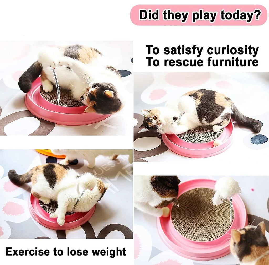 Round blue cat scratcher toy with ball track and replaceable cardboard scratching surface