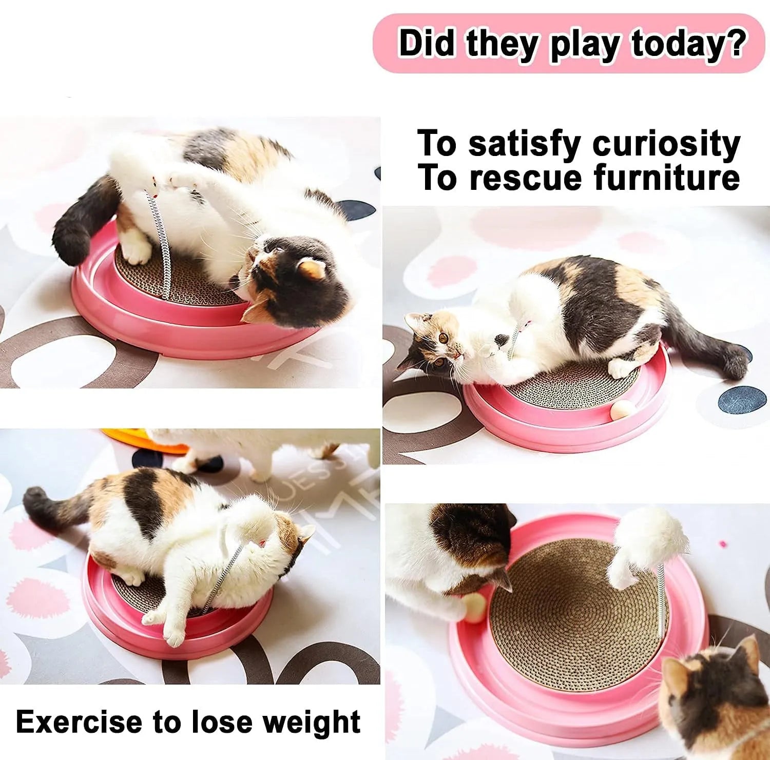 Round blue cat scratcher toy with ball track and replaceable cardboard scratching surface