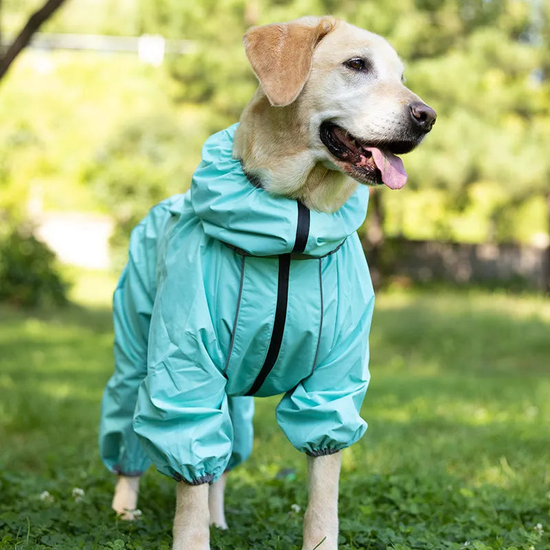 Dog wearing a cotton-padded polyester shell jacket in red, available in sizes M to XXXXL