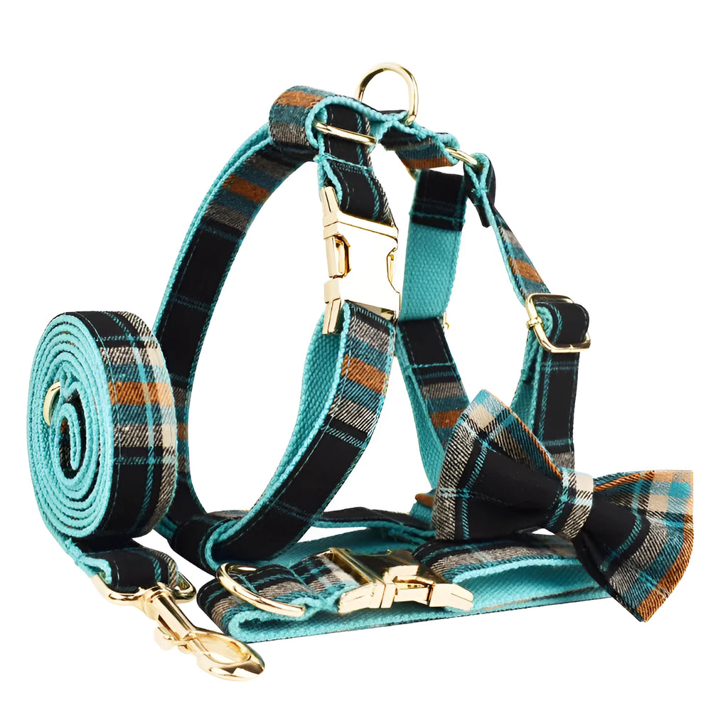 Green retro pet collar set with matching bow and dog vest on a light background