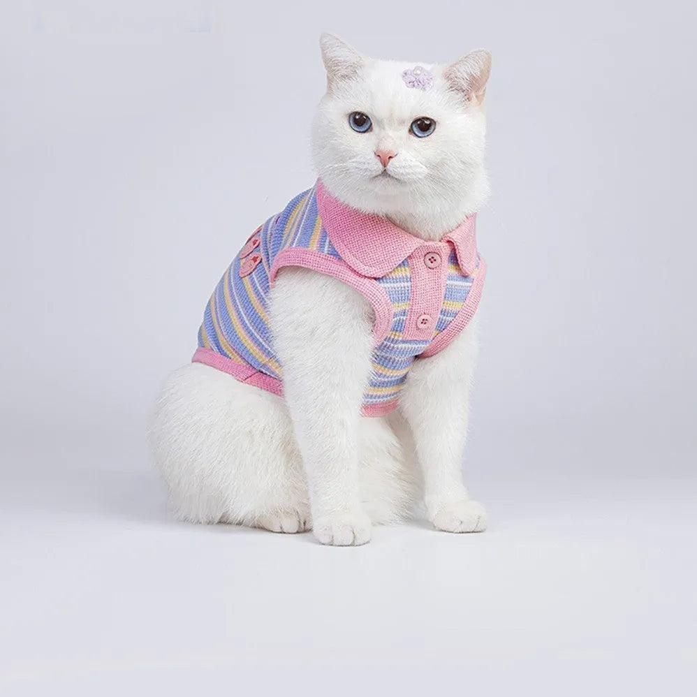 Pink purple vest for a small dog or cat on a mannequin, showing a basic autumn pet clothing design.