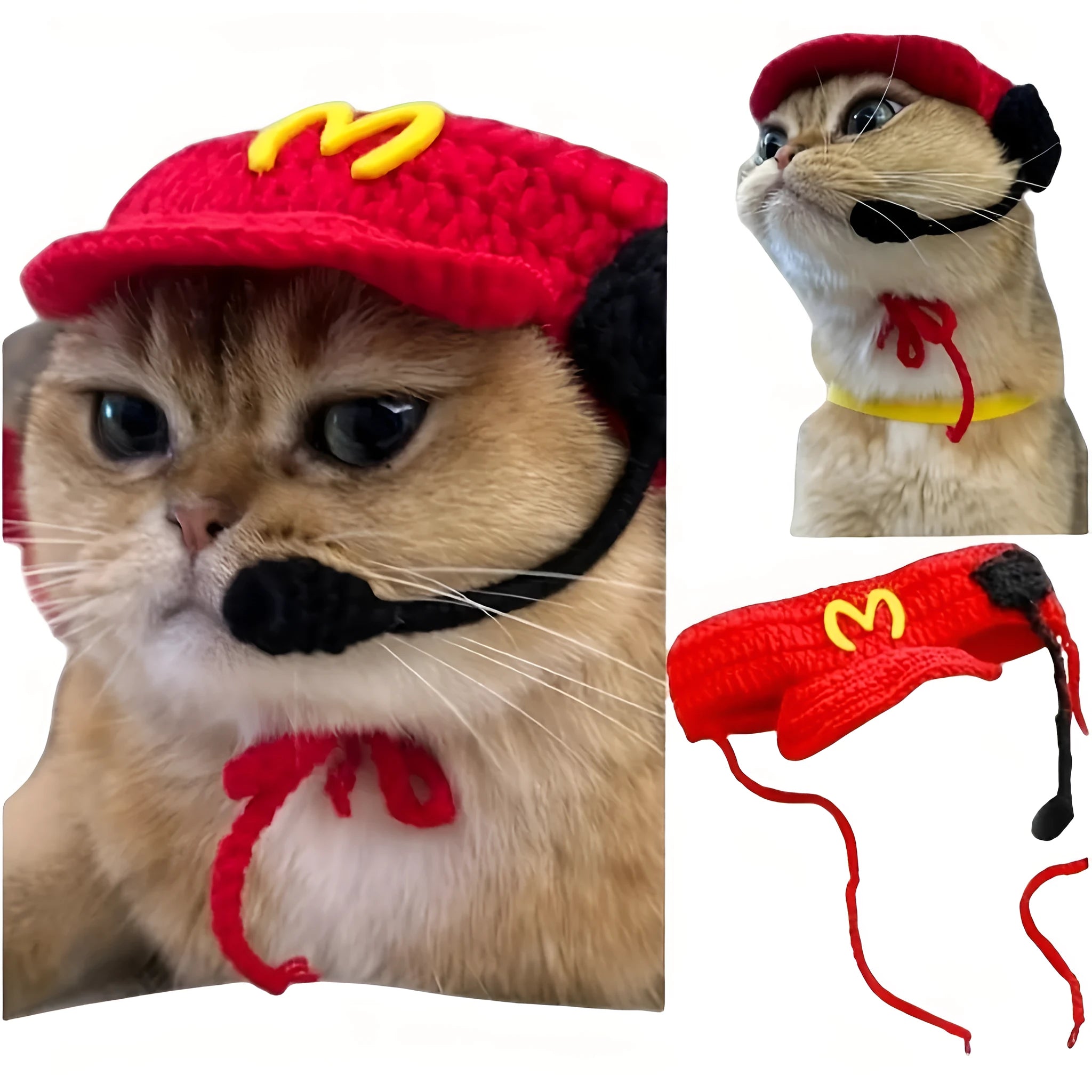 Handmade cream cotton knitted sweater and chef hat outfit on a small cat for a birthday costume.