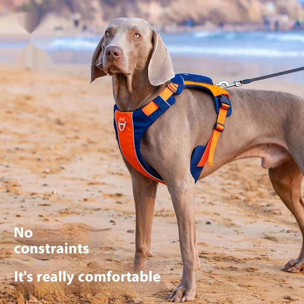 Orange blue nylon dog chest strap vest with single chest back design and adjustable straps