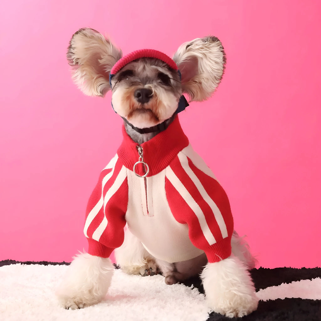 Red wool pet dog sweater cardigan in casual style for men's pet clothing