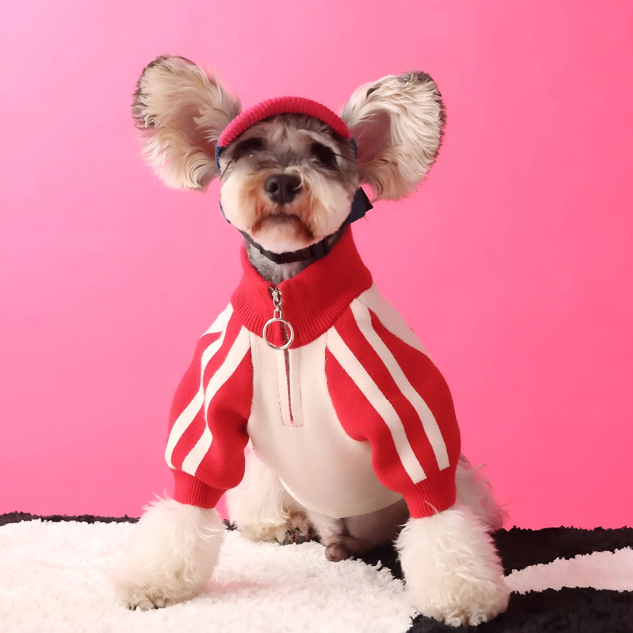 Red wool pet dog sweater cardigan in casual style for men's pet clothing