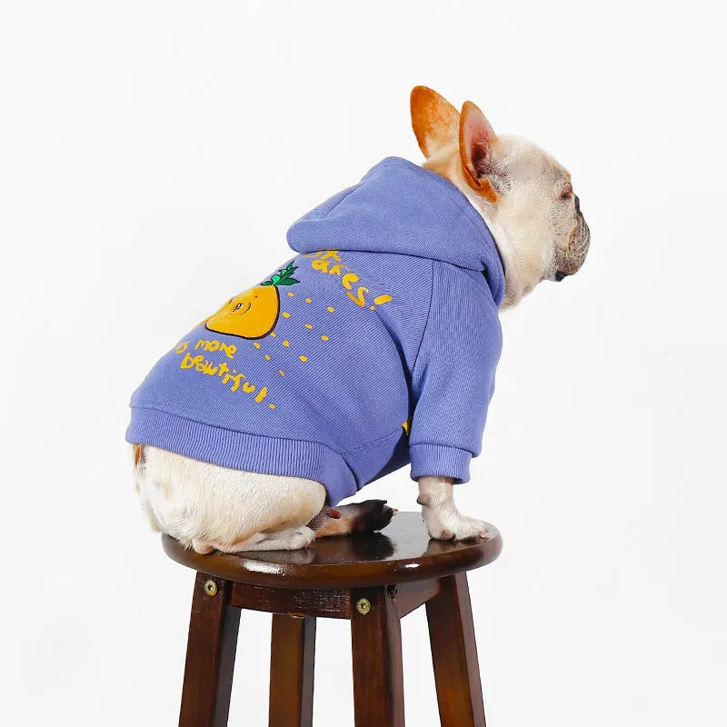 Winter cartoon printed plush pet hoodie in blue and purple made from cotton, shown on a pet