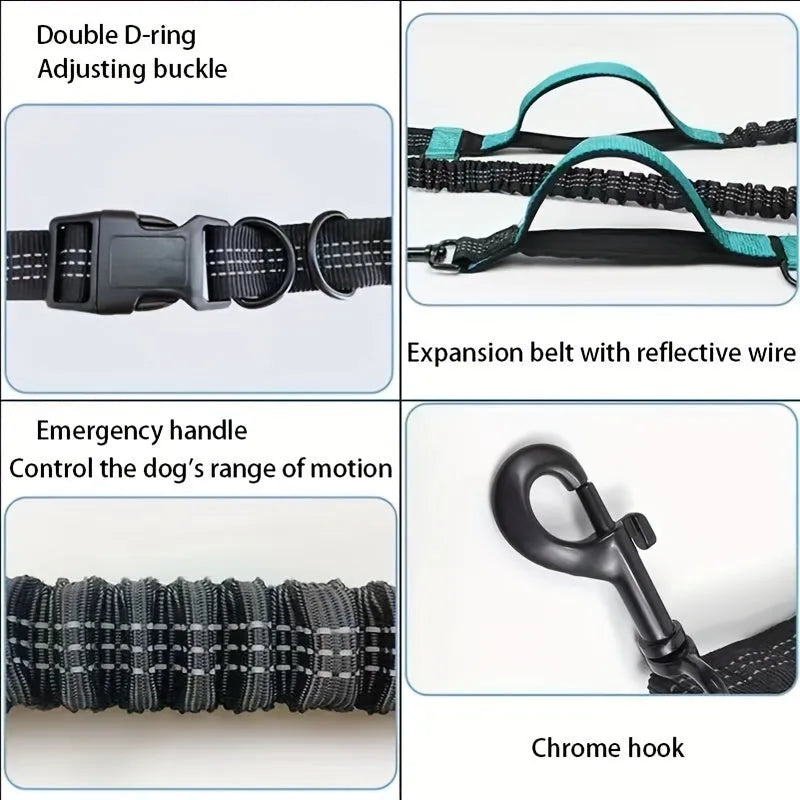 Hands-free dog leash with durable nylon construction and adjustable black waist belt for running and walking