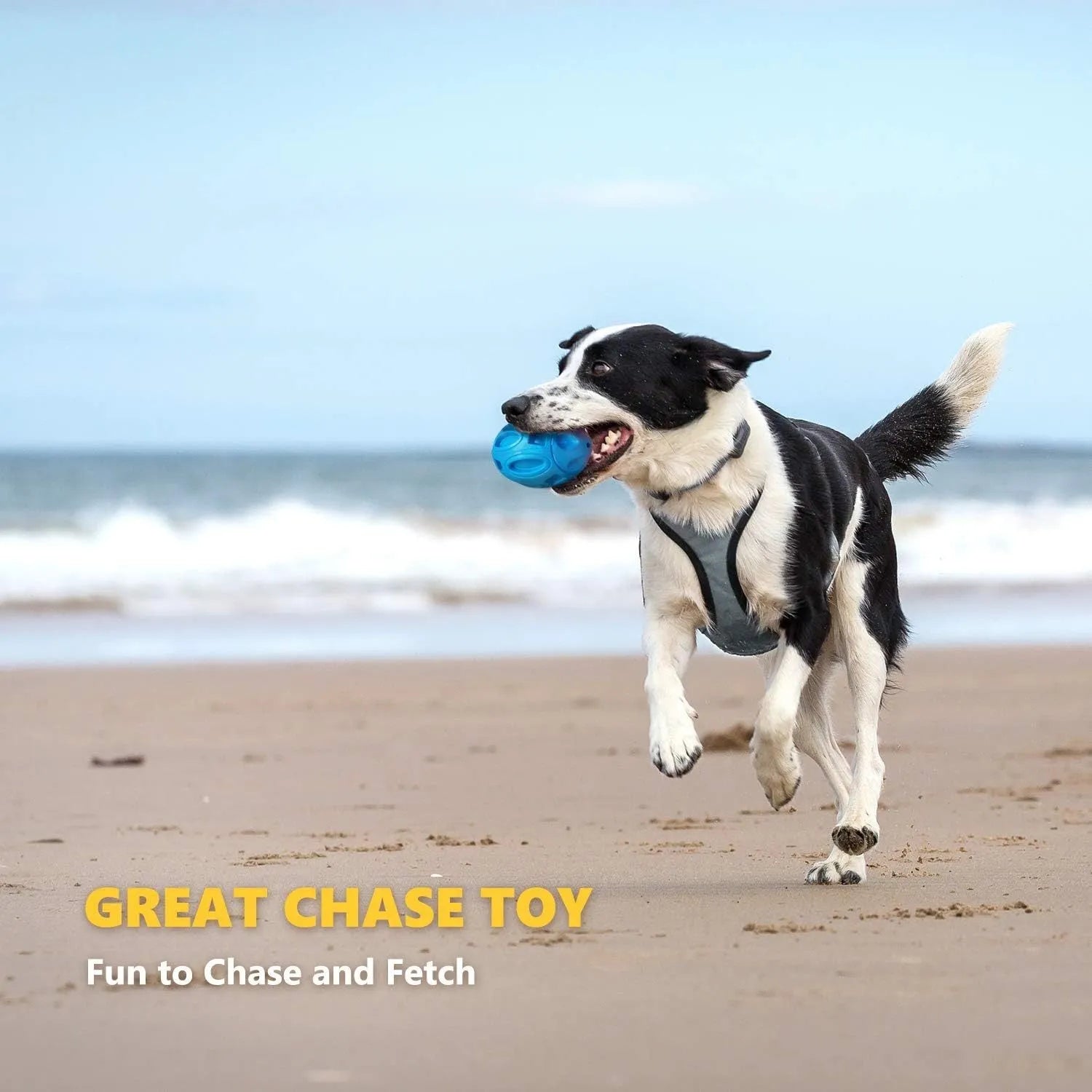 Blue green orange squeaky rubber chew ball dog toy for aggressive medium large breed chewers