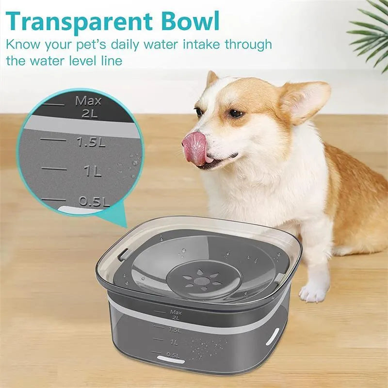 Transparent 70oz/2L dog water bowl with visible water level and floating disk