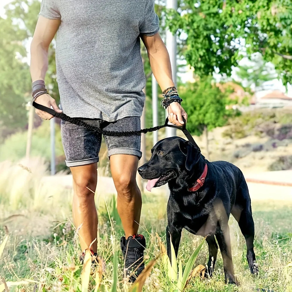 Retractable leash for large dogs with anti-burst technology, black casing and nylon tape