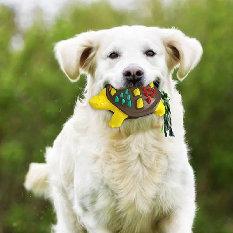 Natural rubber dog toothbrush chew toy in assorted colours with knotted tail for tug of war