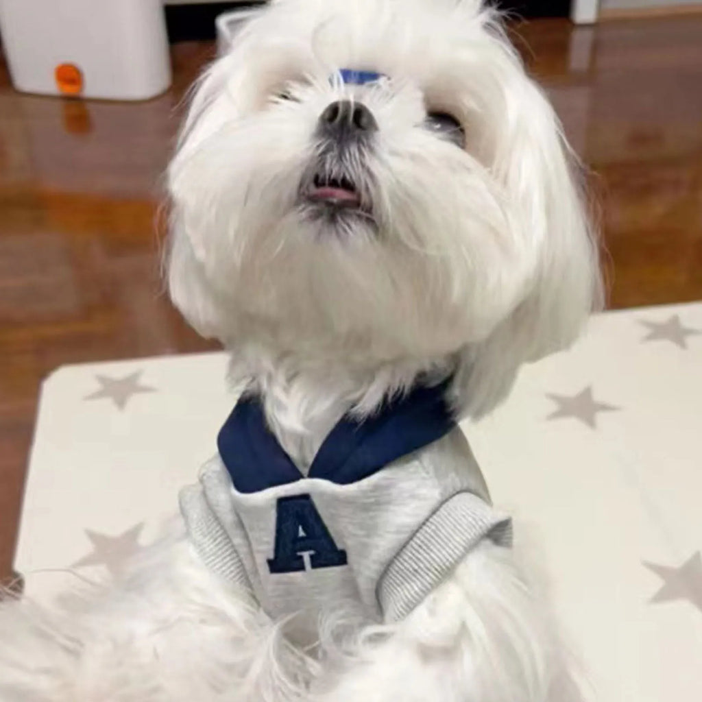 Blue and grey-white slim-fit pet hoodie with reflective letters for dogs and cats