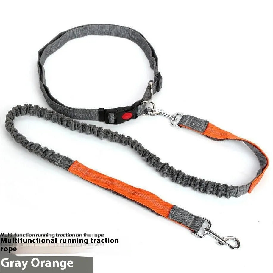 Grey and blue nylon dog leash with reflective stitching and an elastic section for running.
