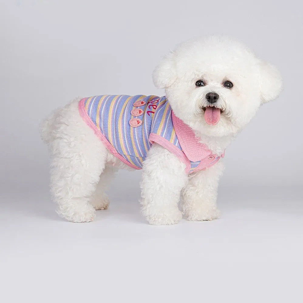 Pink purple vest for a small dog or cat on a mannequin, showing a basic autumn pet clothing design.