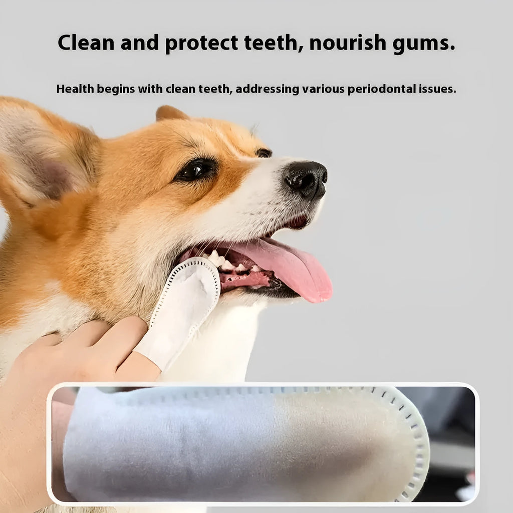 Pack of 50 non-woven fabric pet dental finger stalls for cat and dog teeth cleaning