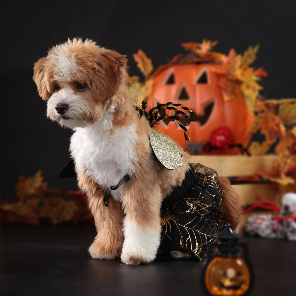 Polyester dog Halloween costume suit in sizes S, M, L, XL for seasonal pet celebrations