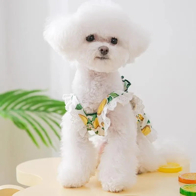 Rock yellow lemon dog strap skirt with princess style polyester fabric on small dog