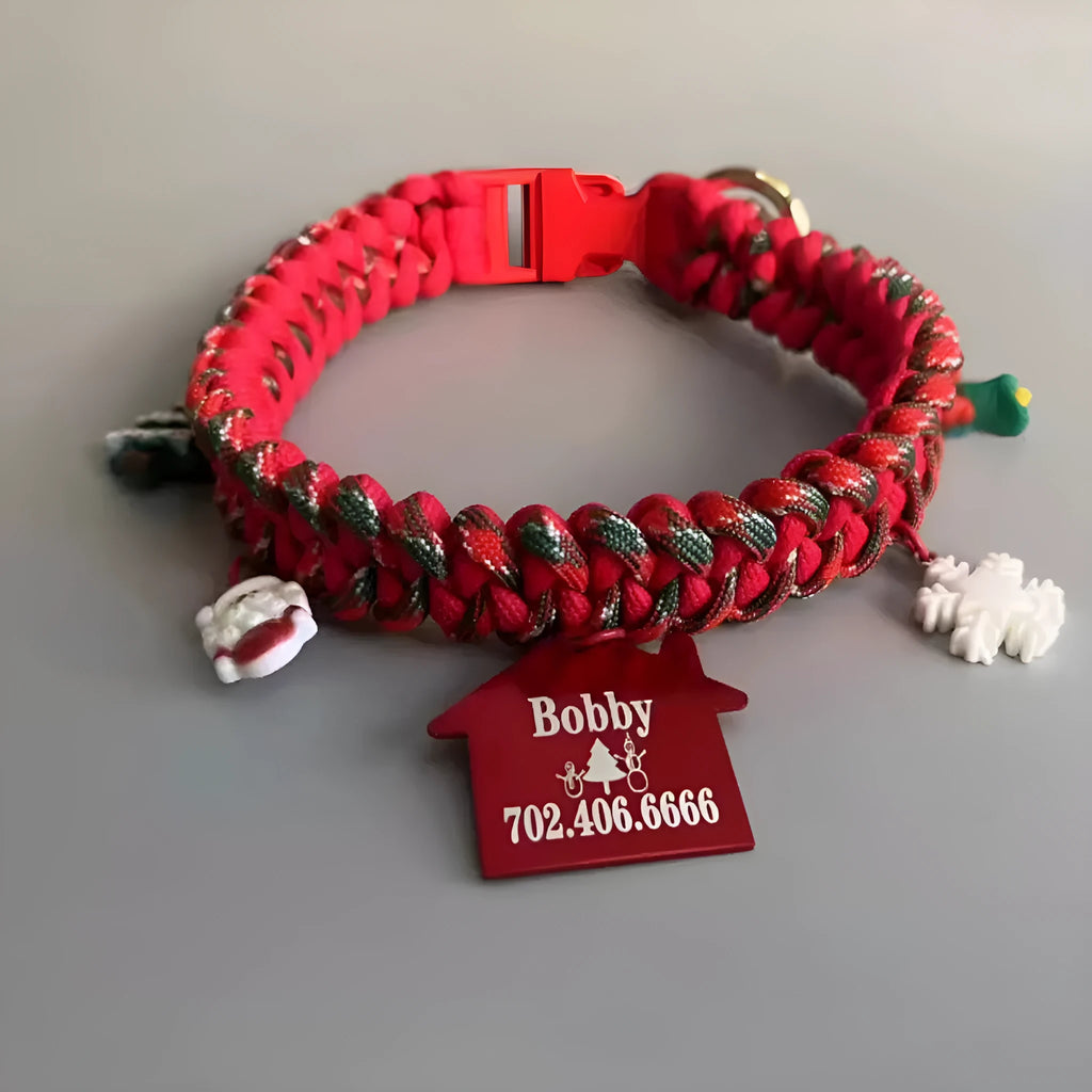 Hand held rope dog leash with P chain and quick release buckle in green colour option