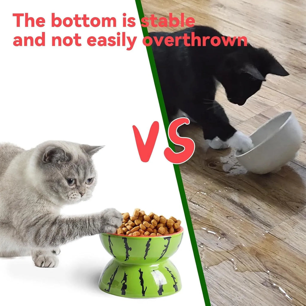 Ceramic elevated cat bowl with tilted design and decorative pattern