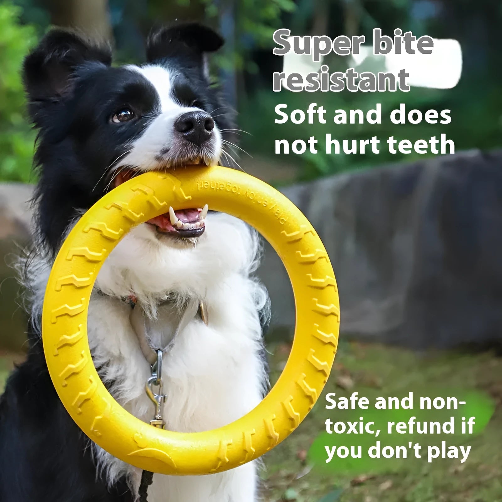 DogJingdang large dog chewing rope and EVA Frisbee for Border Collie training play