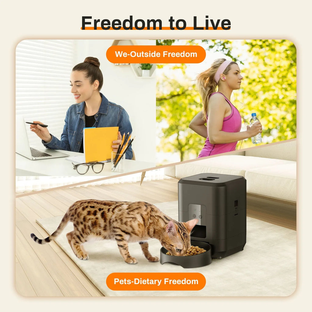 Pet automatic feeder in white with button controls, for cats, with power adapter and feeding bowl