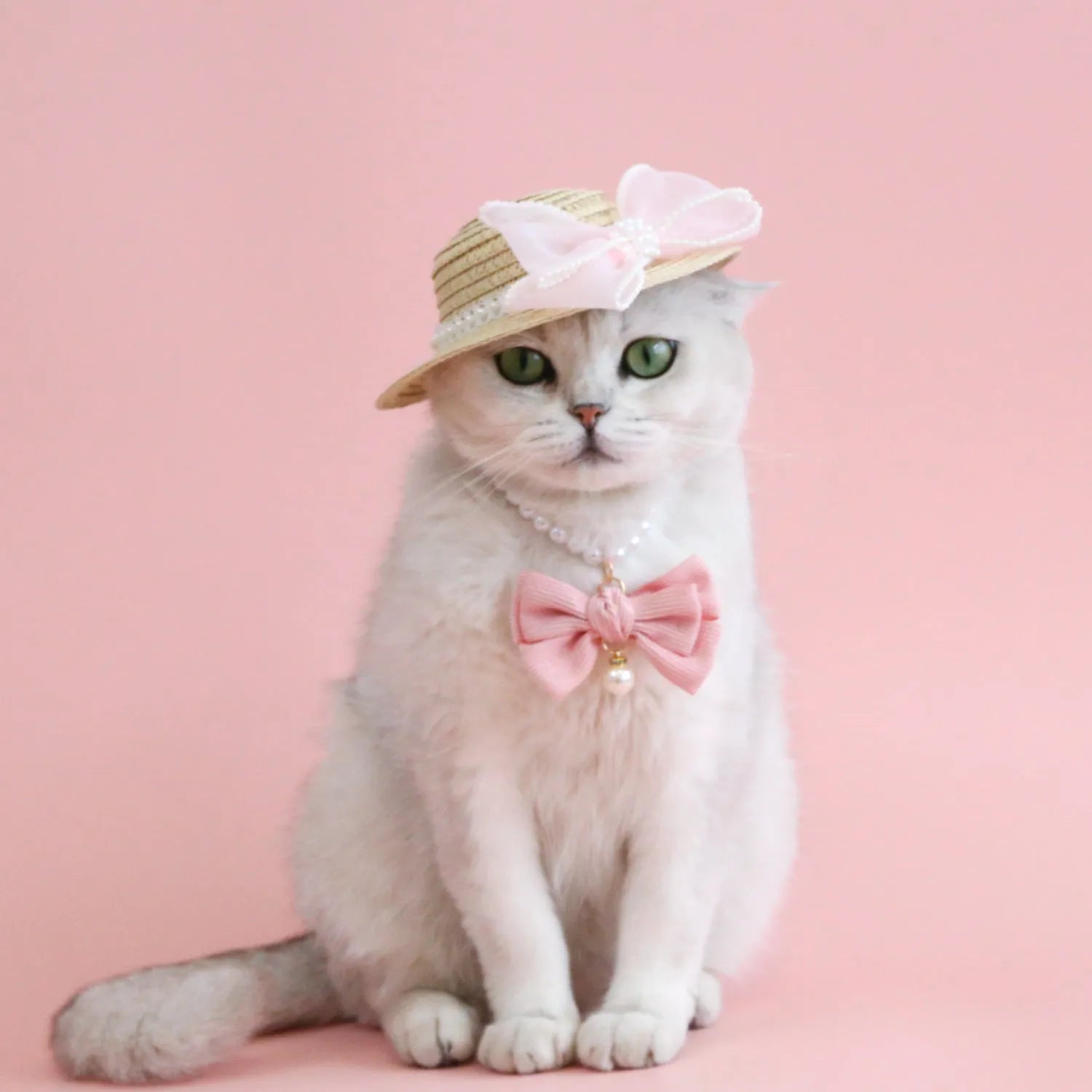 Woven Lafite leaves cat hat with pearl butterfly bow in pink blue purple or white