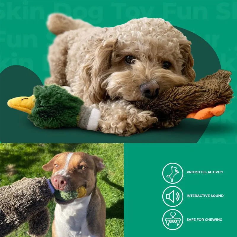 Wild duck design stuffless dog toy with cavity for plastic bottles and two squeakers