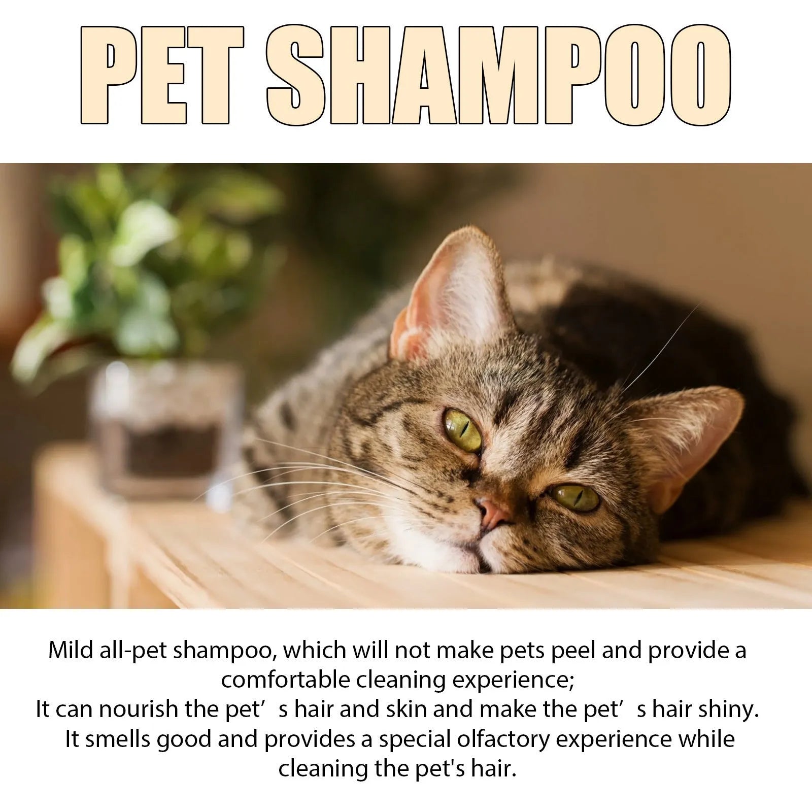 Mild dog shampoo bottle in 100ml and 300ml sizes for gentle coat cleansing