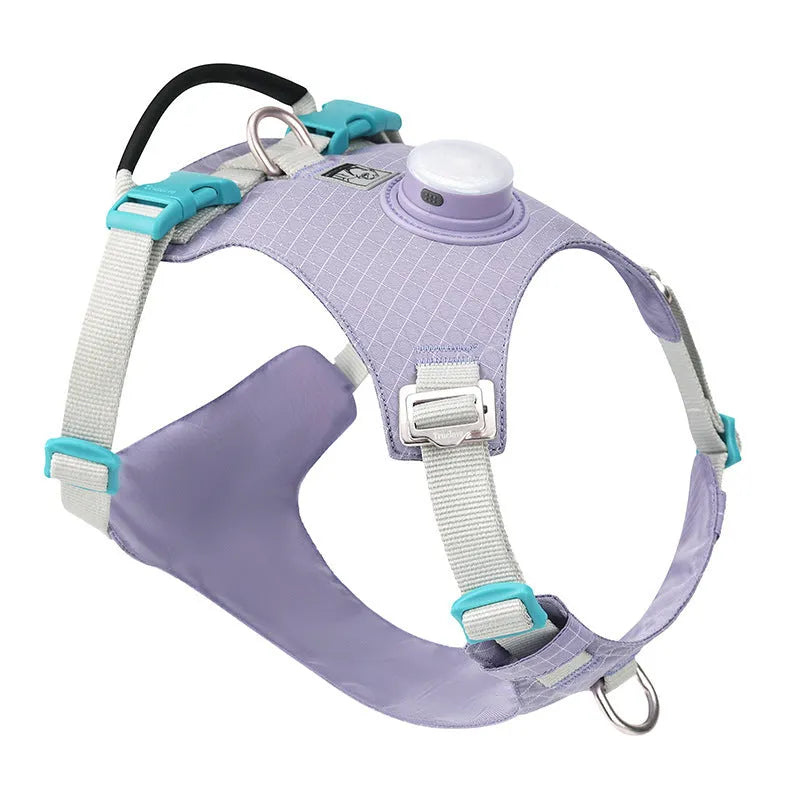 Light purple dog harness with LED light and a handle on the back, shown on a medium-sized dog