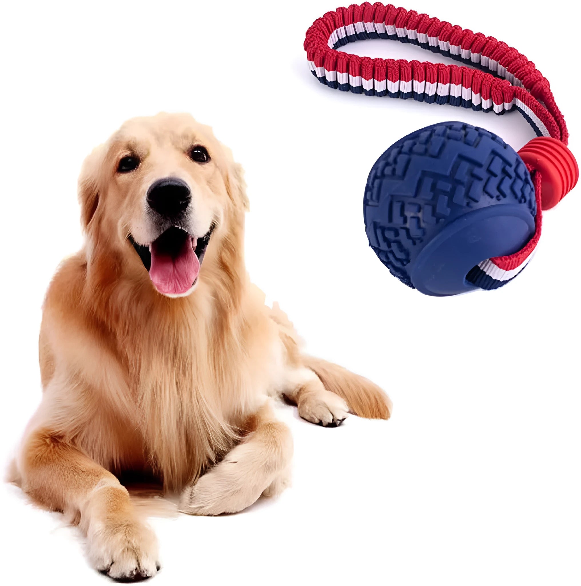 Blue and red durable rubber dog ball attached to a rope for tug-of-war and dental care.