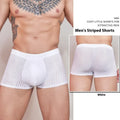 Men's striped underwear briefs in thin transparent nylon fabric showing black white dark grey colour options