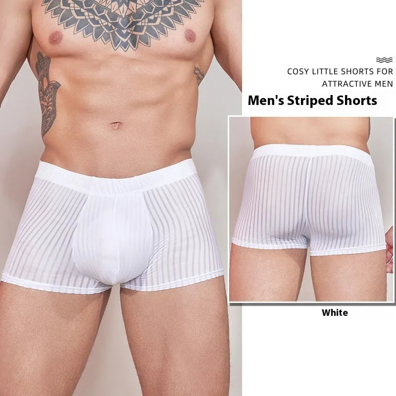 Men's striped underwear briefs in thin transparent nylon fabric showing black white dark grey colour options