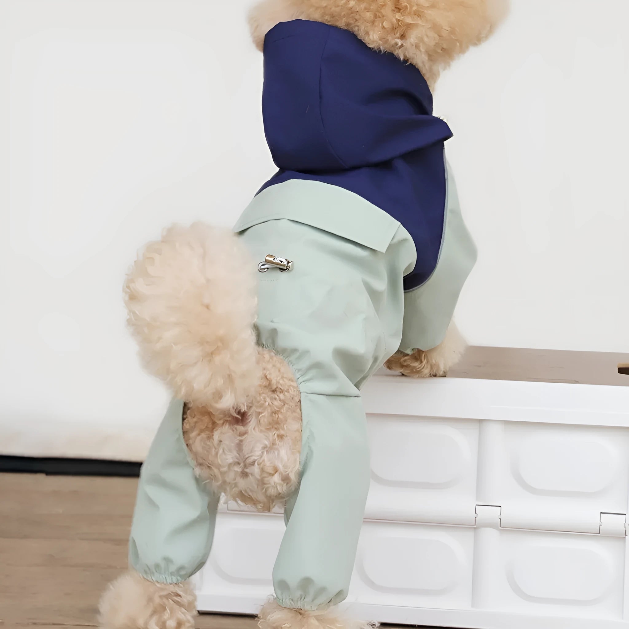 British style khaki coloured waterproof polyester dog jacket on a small dog.