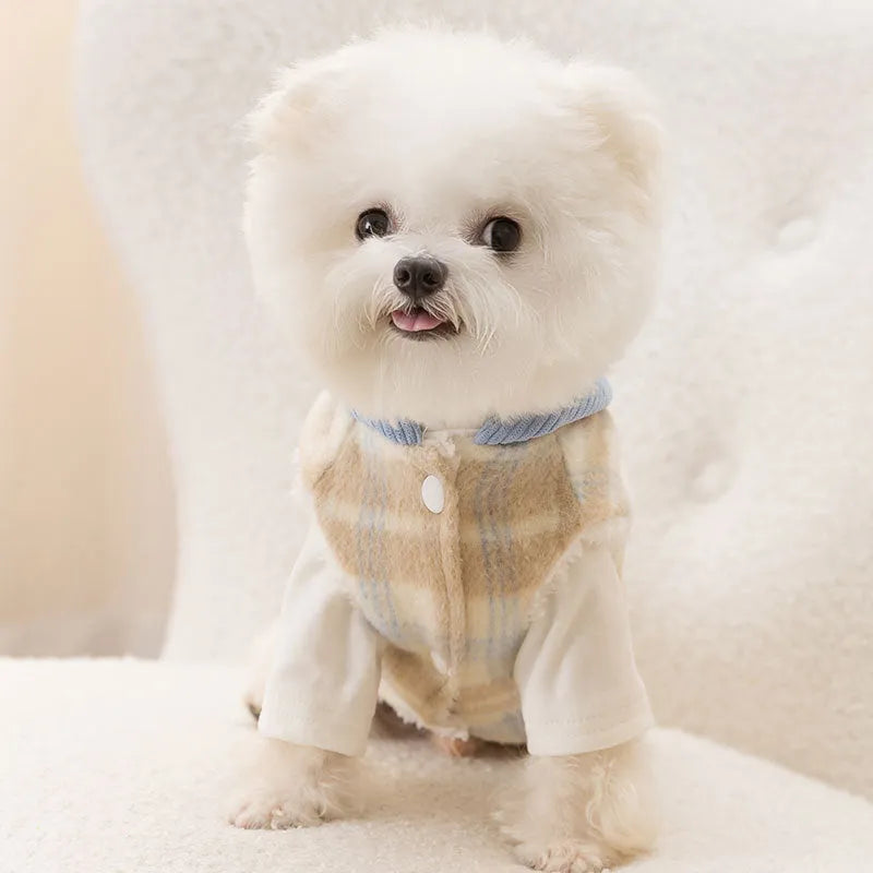 Blue corduroy chessboard grid pattern hooded vest for a dog on a neutral background