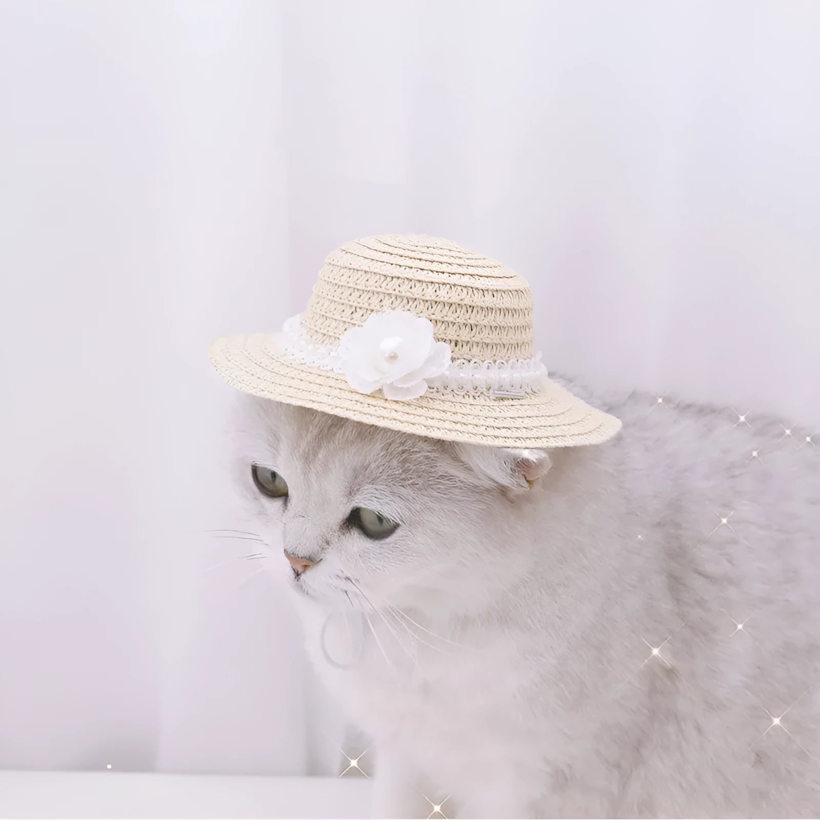 Handmade adjustable bowknot pet hat for dog or cat in cartoon style, shown in multiple colours.