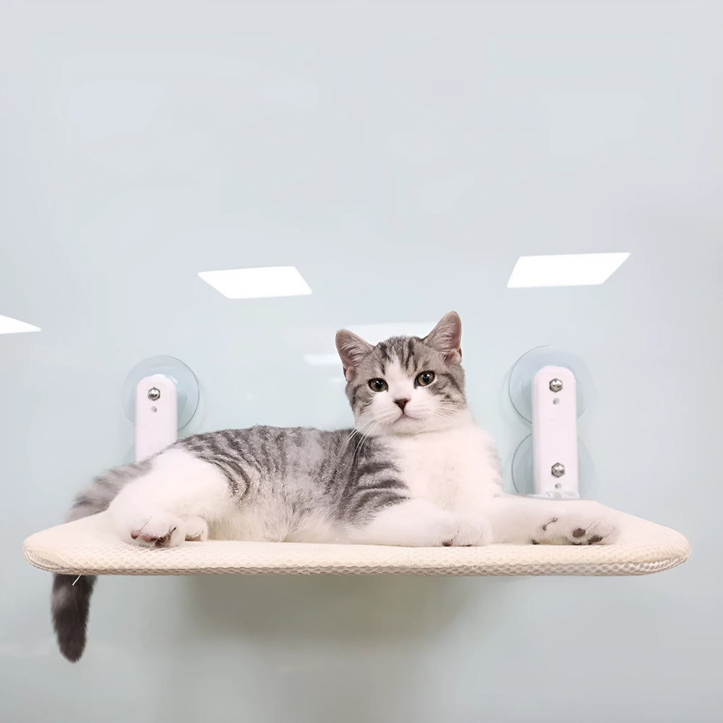 Stainless steel cat window seat cushion with suction cup mounting in foldable design