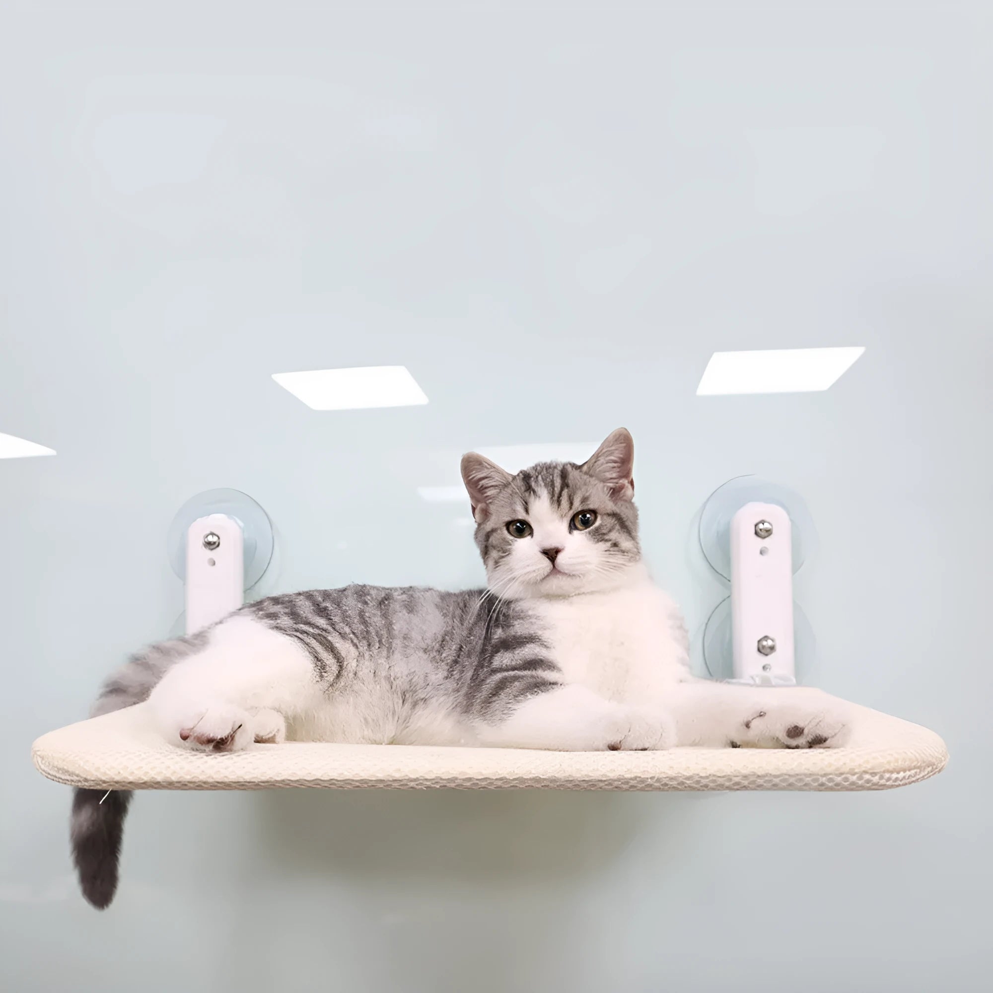 Stainless steel cat window seat cushion with suction cup mounting in foldable design