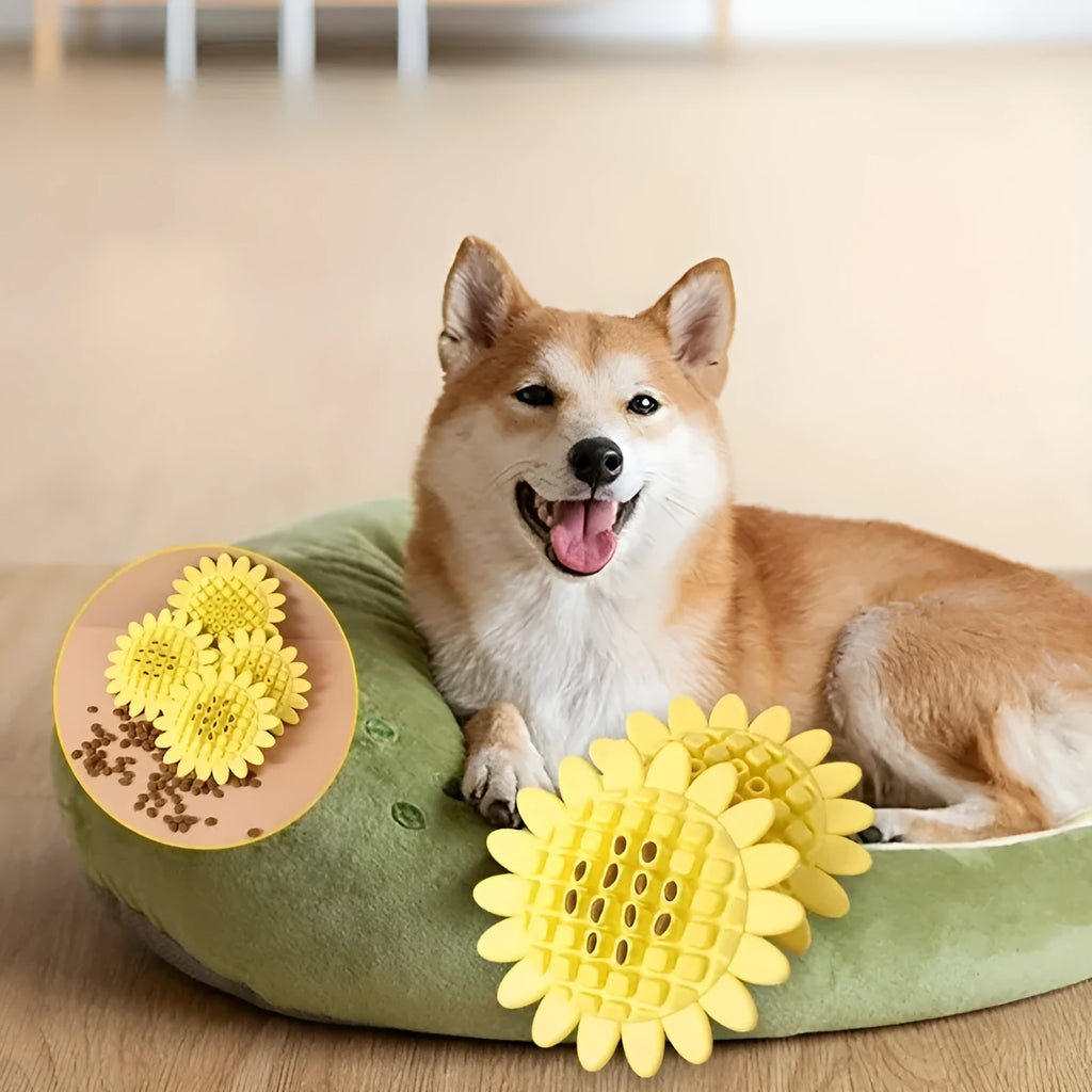 Yellow rubber sunflower dog chew toy on a surface, non toxic and BPA free for puppy teething