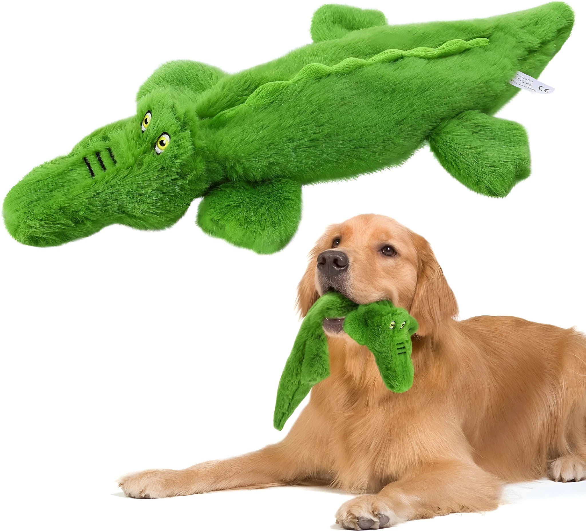 Green crocodile squeaky dog toy with crinkle tail for aggressive chewers