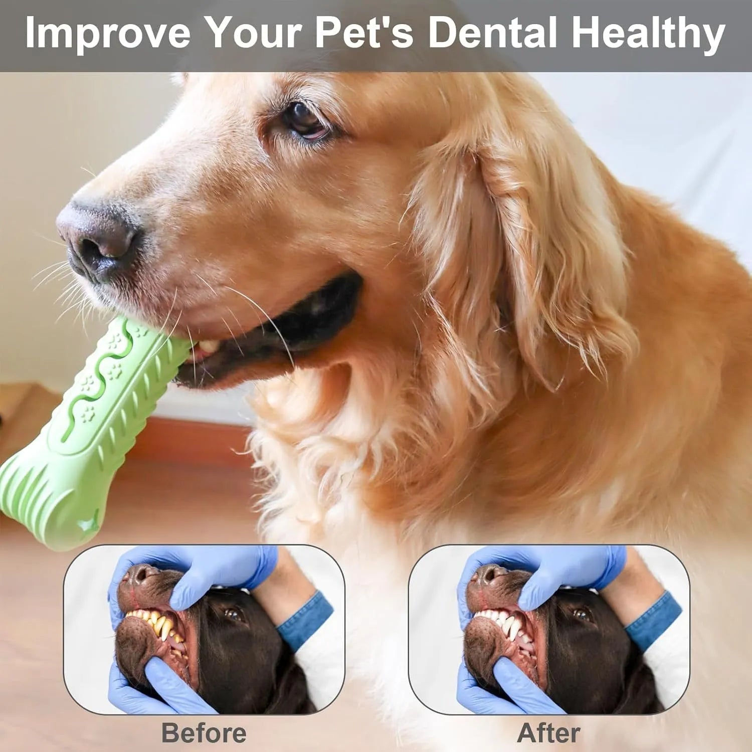 Natural rubber bone-shaped dog chew toy in blue, green and orange colours for aggressive chewers
