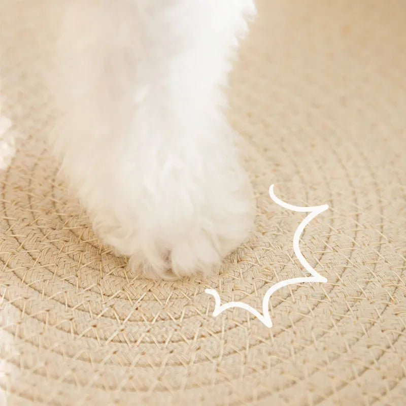 Green oval cat scratch pad bowl made of sisal, serving as a cat scratcher and bed lounge