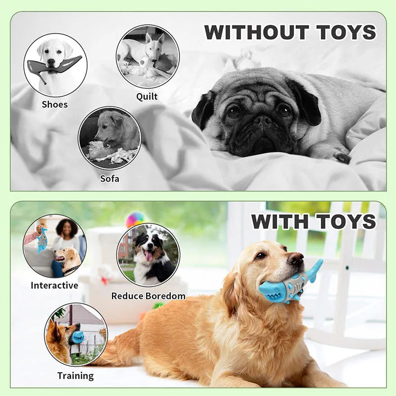 Dog teething leaky toy in blue with shark-tooth texture and bite-resistant material