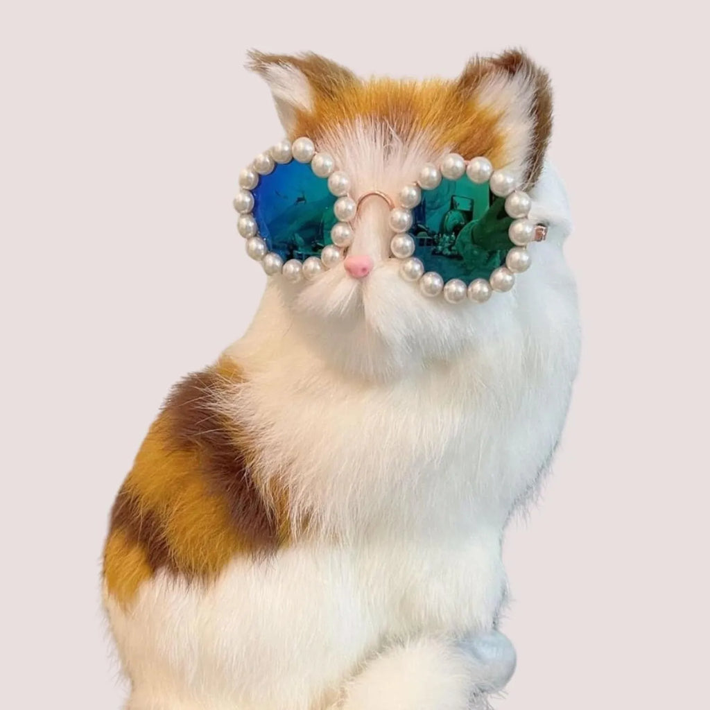 Cat wearing black pearl-rimmed round sunglasses as costume accessory for party