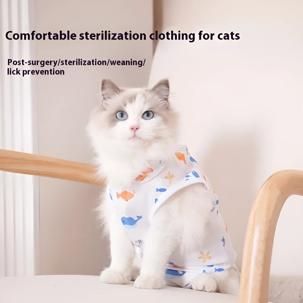 Cat wearing a soft blue post-operative recovery suit with Velcro fastenings on its back.