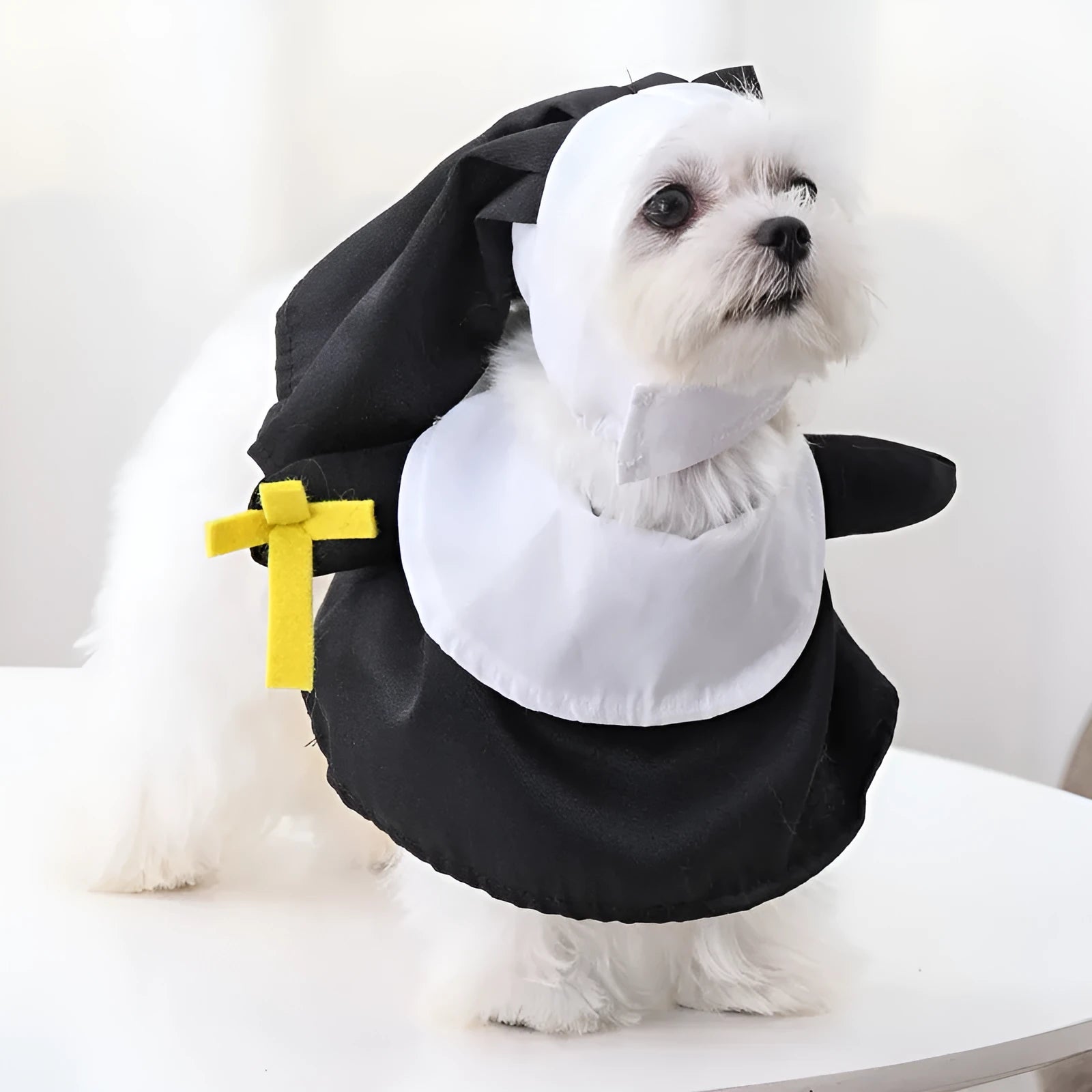 Black polyester nun pet costume for cats and dogs, free size, Halloween dress-up