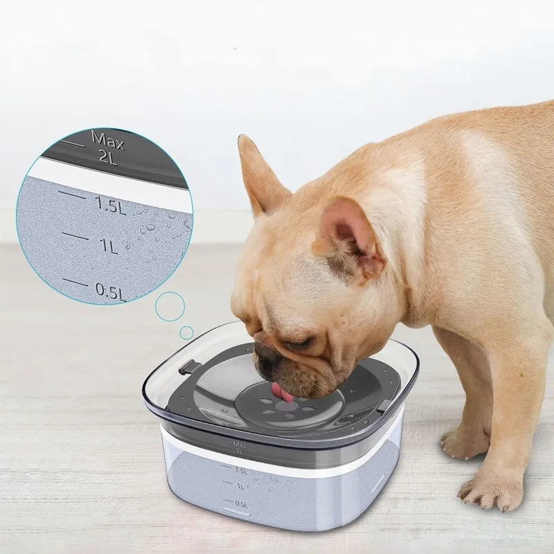 Transparent 70oz/2L dog water bowl with visible water level and floating disk